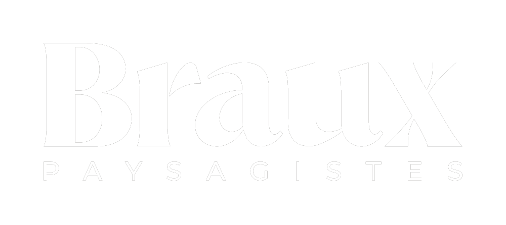 Braux SA Logo